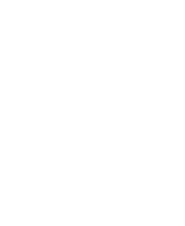 Swing for mexico